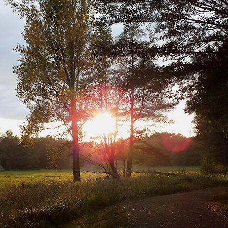 Hotel Nordic Spreewald لوبنو المظهر الخارجي الصورة